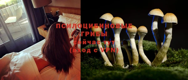 не бодяженный Инта