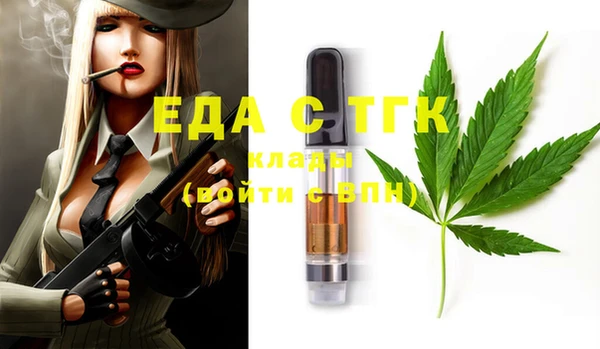 стаф Каменка