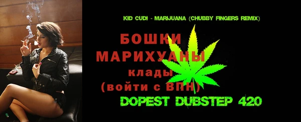 стаф Каменка