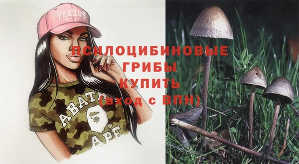mdpv Каменск-Шахтинский