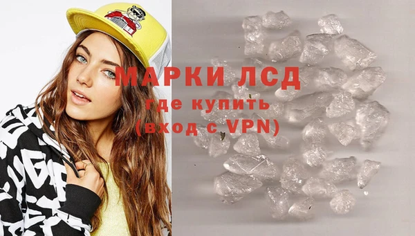 стаф Каменка