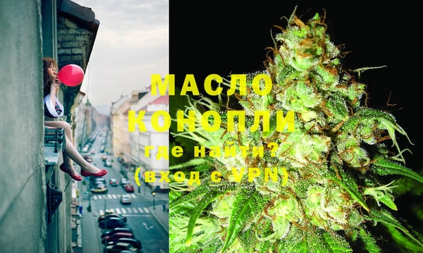 стаф Каменка