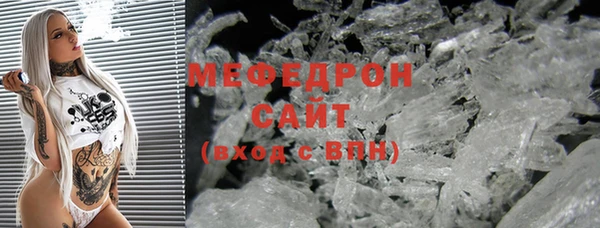 стаф Каменка