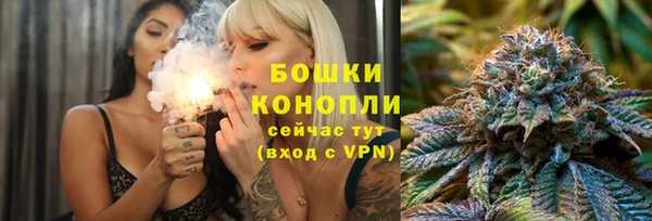 стаф Каменка