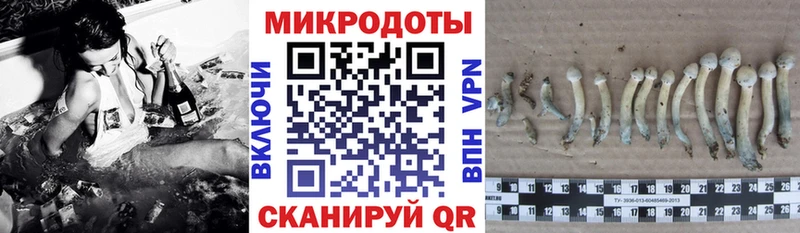 продажа наркотиков  Знаменск  Галлюциногенные грибы GOLDEN TEACHER 