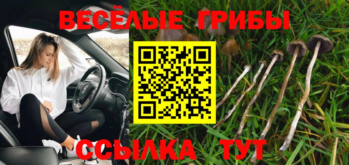 Галлюциногенные грибы ЛСД  Вход с VPN  Знаменск  Псилоцибиновые грибы прущие грибы 